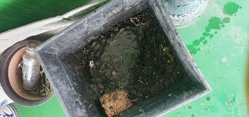 사상구 하수구막힘 모라동 하수구막힘 싱크대 음식물 막힘 미리 확인할 점검 항목