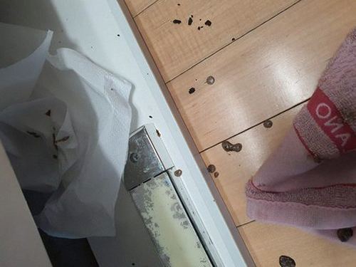 사상구 하수구막힘 덕포동 하수구막힘 비용과 점검 기준을 직접 살펴보니